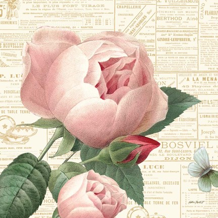 Framed Roses in Paris V Print