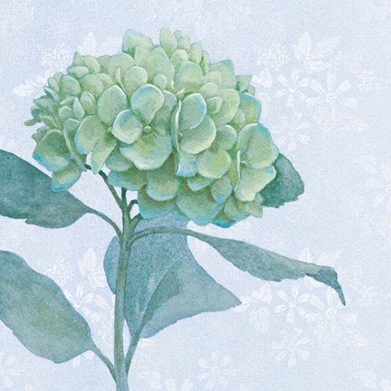 Framed Blue Hydrangea I Crop Print
