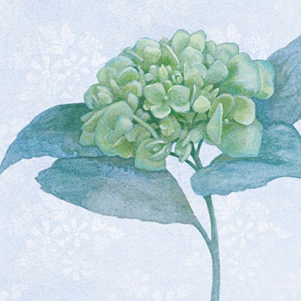 Framed Blue Hydrangea II Crop Print