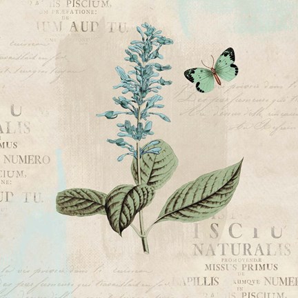 Framed En Bleu VI Print