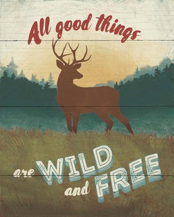 Framed Discover the Wild II Print