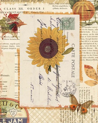 Framed Falling for Fall II Print