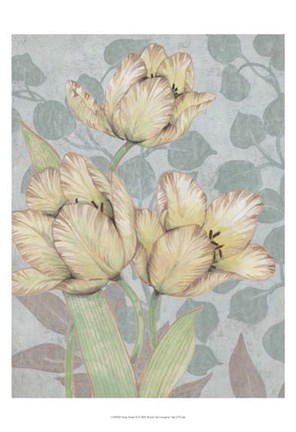 Framed Trois Fleurs II Print