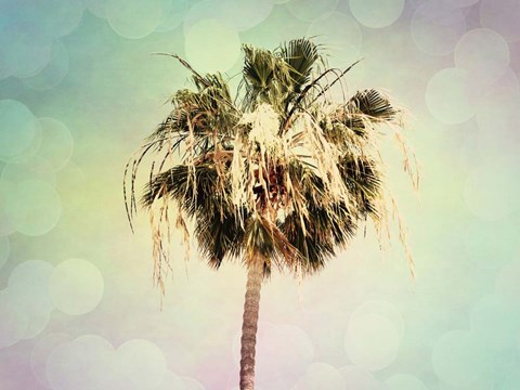 Framed Palm Trees III Print