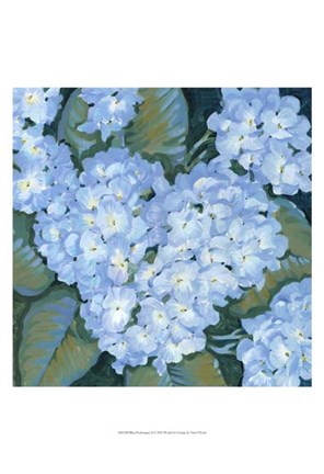 Framed Blue Hydrangeas II Print