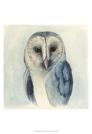 Framed Midnight Aves II Print