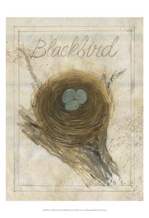 Framed Nest - Blackbird Print