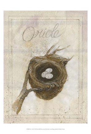 Framed Nest - Oriole Print