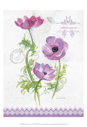 Framed Flower Study on Lace I Print