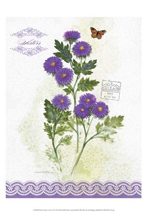 Framed Flower Study on Lace II Print