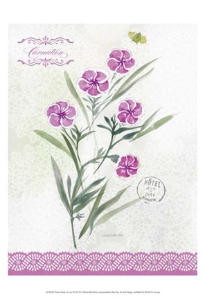 Framed Flower Study on Lace III Print