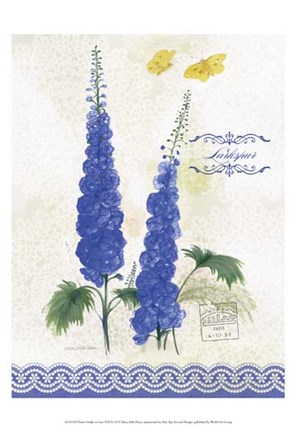 Framed Flower Study on Lace VIII Print