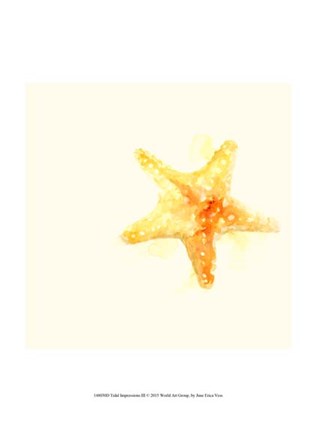 Framed Tidal Impressions III Print