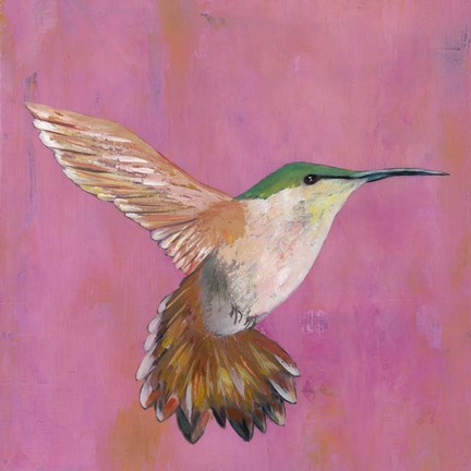 Framed Sweet Hummingbird I Print