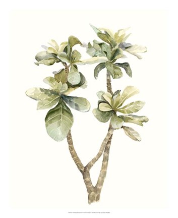 Framed Tropical Watercolor Leaves III Print