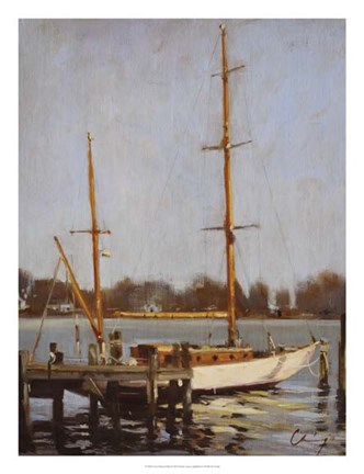 Framed Ivory Falcon at Rest Print