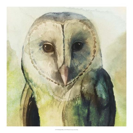 Framed Harlequin Hibou I Print