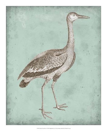 Framed Sepia &amp; Spa Heron I Print
