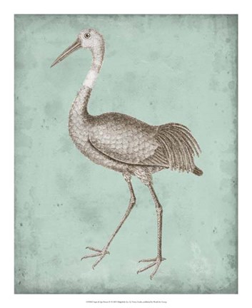 Framed Sepia &amp; Spa Heron IV Print