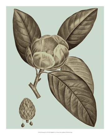 Framed Flowering Trees VI Print