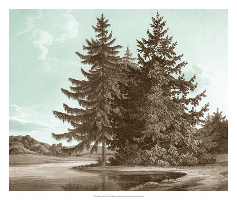 Framed Serene Trees III Print