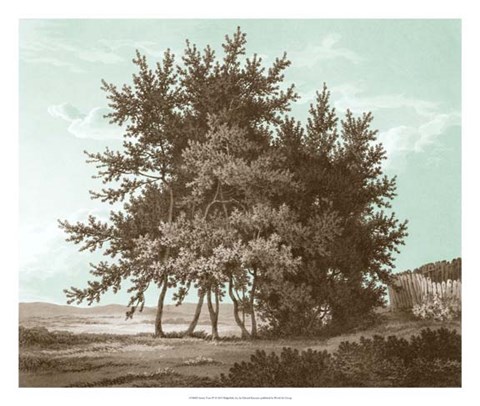Framed Serene Trees IV Print