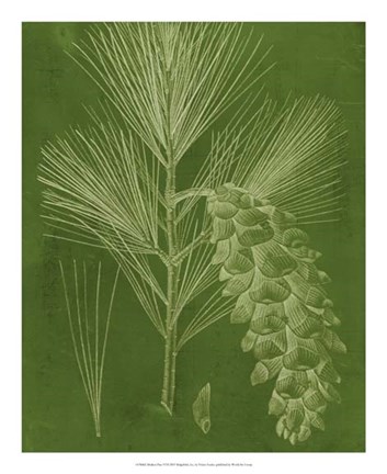 Framed Modern Pine VI Print