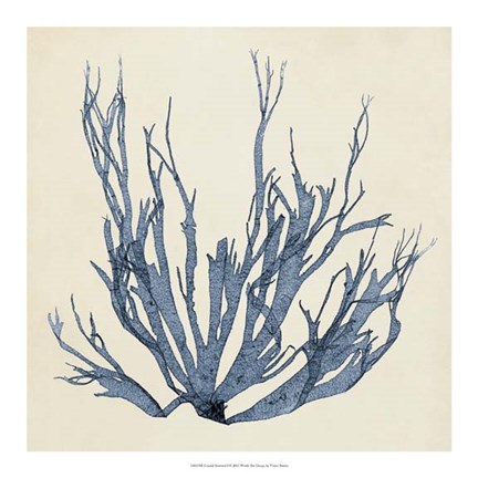 Framed Coastal Seaweed I Print