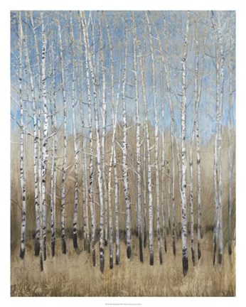 Framed Dusty Blue Birches I Print