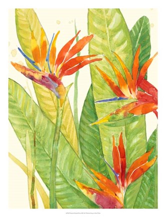 Framed Watercolor Tropical Flowers III Print