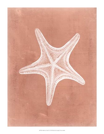 Framed Sealife on Coral IV Print