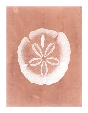 Framed Sealife on Coral IX Print