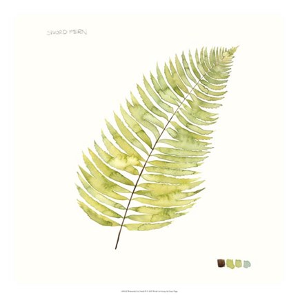 Framed Watercolor Leaf Study IV Print