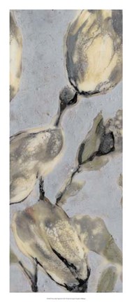 Framed Flower Bud Triptych II Print