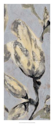 Framed Flower Bud Triptych III Print