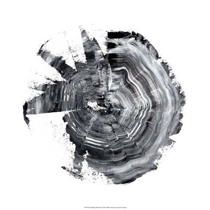 Framed Tree Ring Abstract II Print