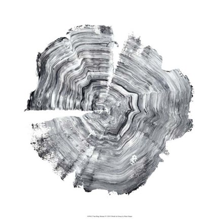 Framed Tree Ring Abstract IV Print