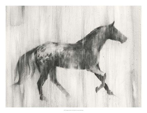 Framed Appaloosa Study I Print