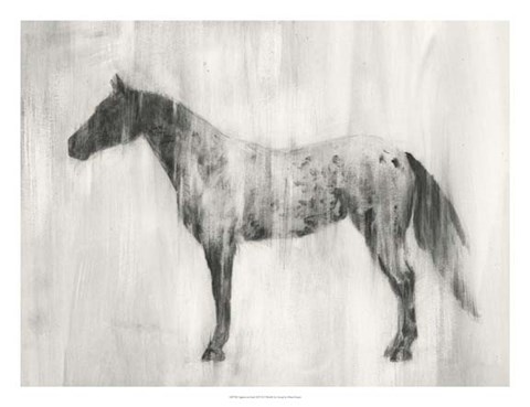 Framed Appaloosa Study II Print