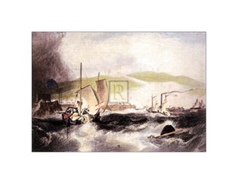Framed Dover Print