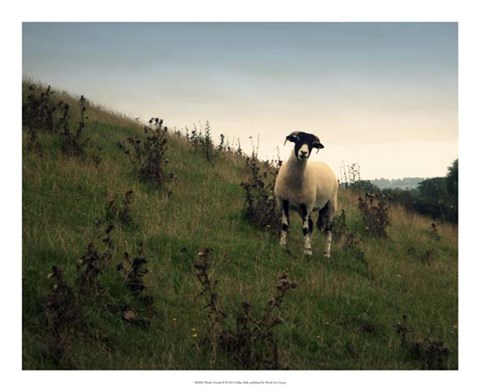 Framed Wooly Friends II Print