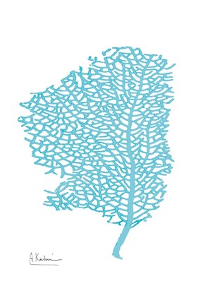 Framed Sea Fan Print