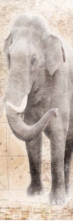 Framed African Traveling  Animals Elephant Print