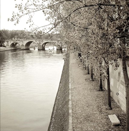 Framed Promenade Seine II Print