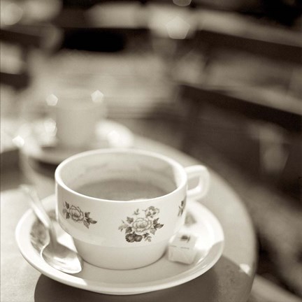 Framed Jardin du Luxembourg II Print