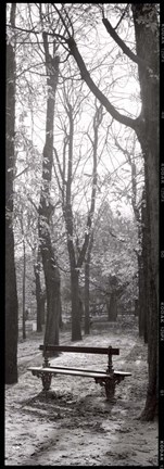 Framed Jardin du Luxembourg Banc Print