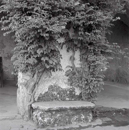 Framed Campagnia II Print