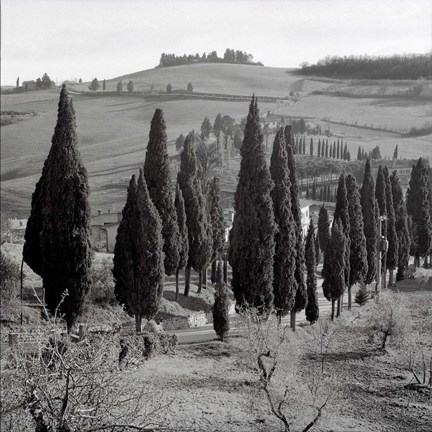 Framed Tuscany IV Print