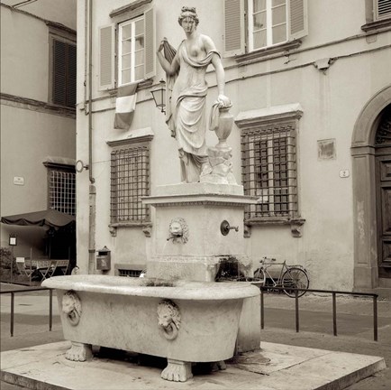 Framed Lucca I Print