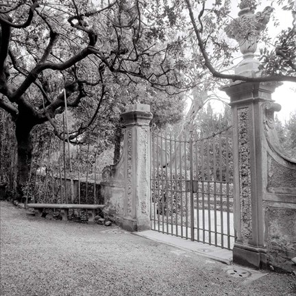 Framed Firenze I Print